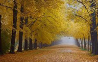 Herbstlandschaft
